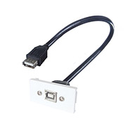 White AV module for a single USB 2 type B port showing a black female USB type 2 B connector cable inserted with two female connectors