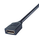 20-0014 -Connector 2: DisplayPort Female