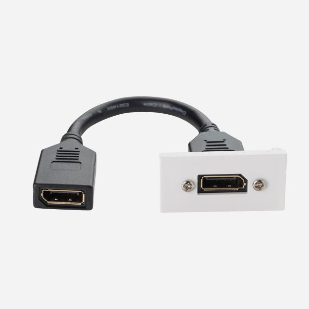 White AV module for a single Displayport port showing a black female Displayport connector cable inserted with two female connectors on either end