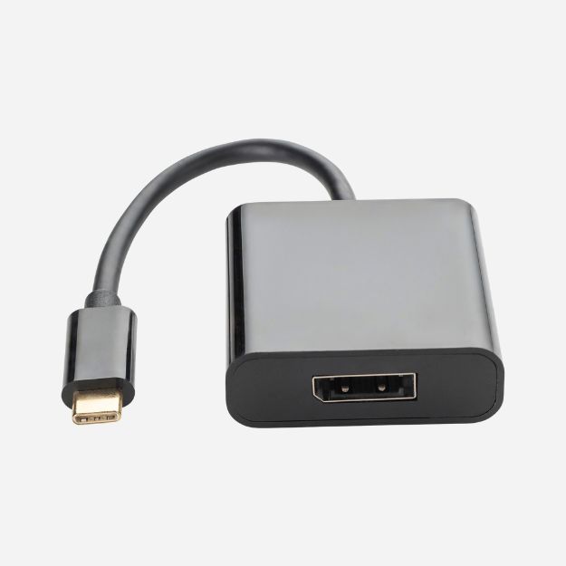 a DisplayPort female to USB type C male adapter in a rounded black plastic housing with a USB type C black cable