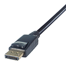 26-6010 -Connector 2: DisplayPort Male